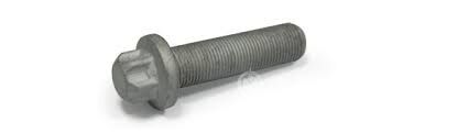 SAF DİSK CIVATASI M18 E24/4343280110
